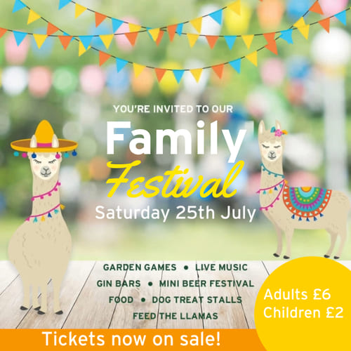 The Saracens Head Family Festival