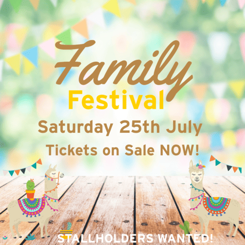 The Saracens Head Family Festival